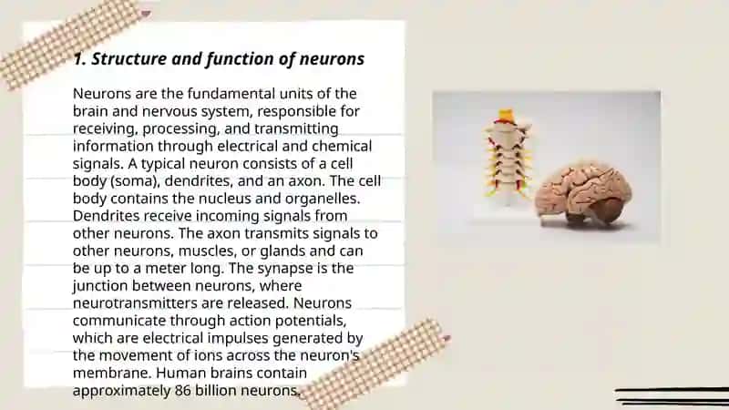 Structure and function of neurons 3