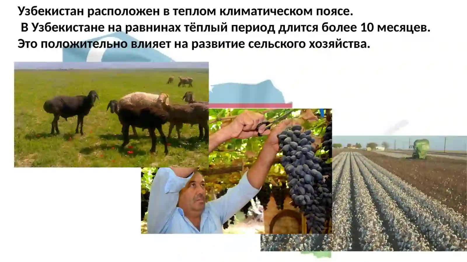 Географическое положение Узбекистана 3