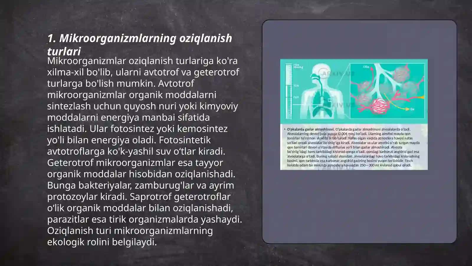 Mikroorganizmlarning oziqlanishi va nafas olishi 3