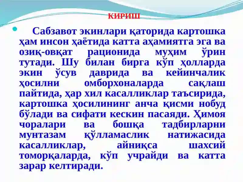 КАРТОШКА КАСАЛЛИКЛАРИ ВА УЛАРГА  ҚАРШИ КУРАШ ЧОРАЛАРИ 3