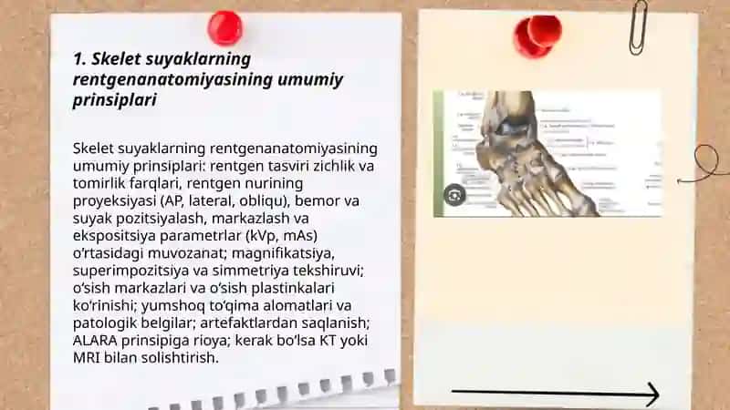 Skelet suyaklarning rentgenanatomiyasi. Skeletning rivojlanish anomaliyalari 3