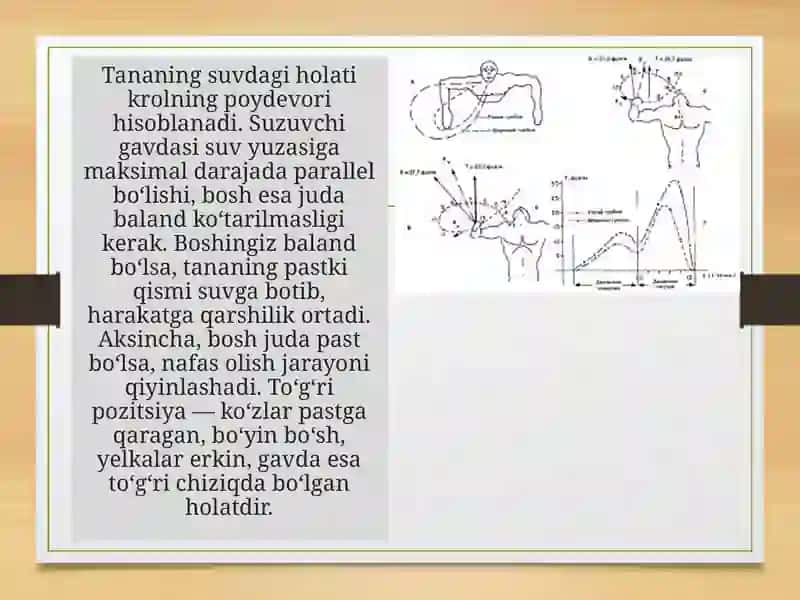 Ko‘krakda krol usulining umumiy texnikasi bilan tanishtirish 3
