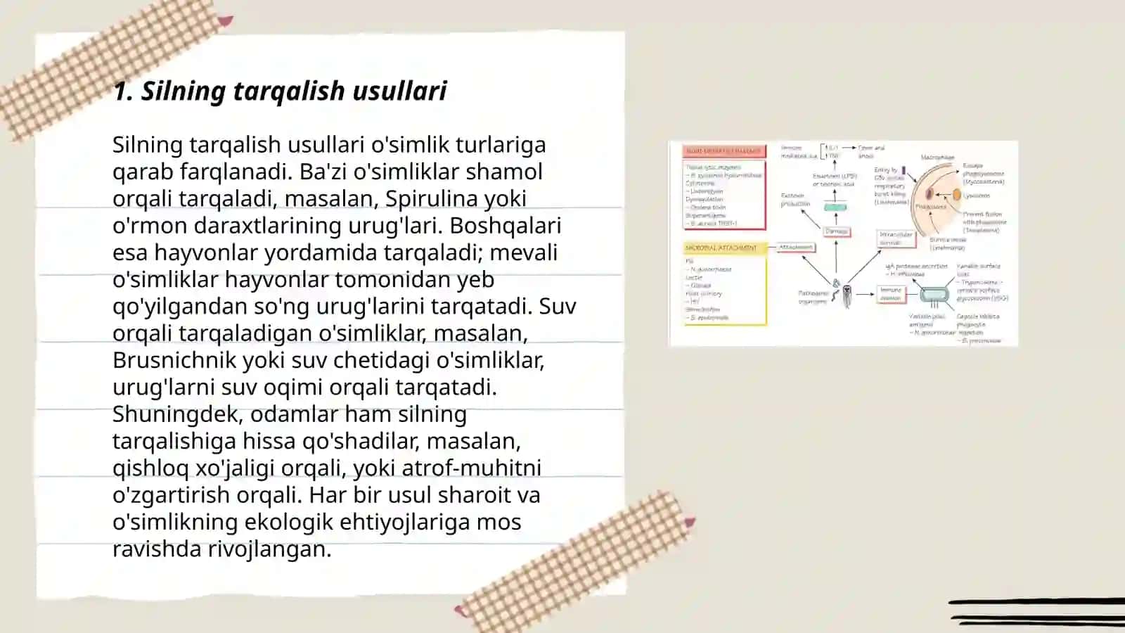 Silning tarqalish usullari 3