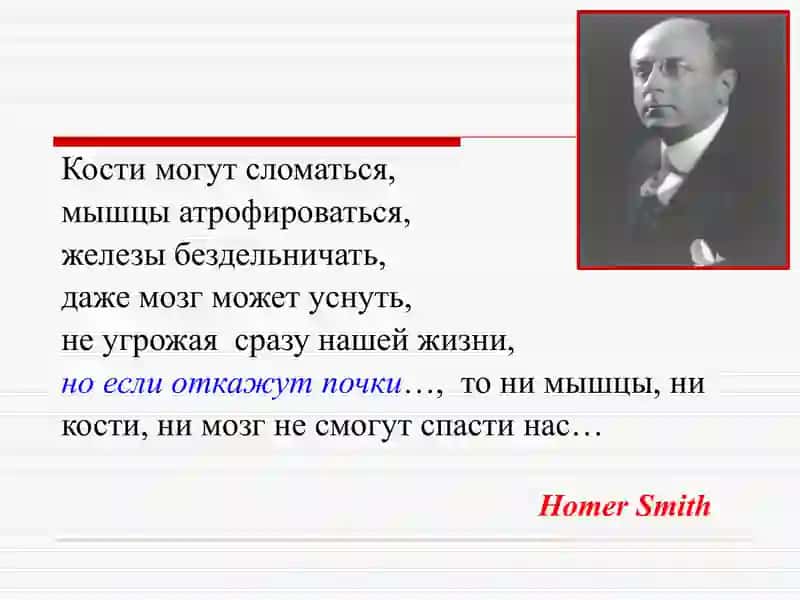 БОЛАЛАРДА ГЛОМЕРУЛОНЕФРИТЛАР 3