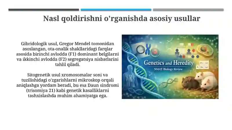 Gibridologik va Sitogenetik Usullar 3