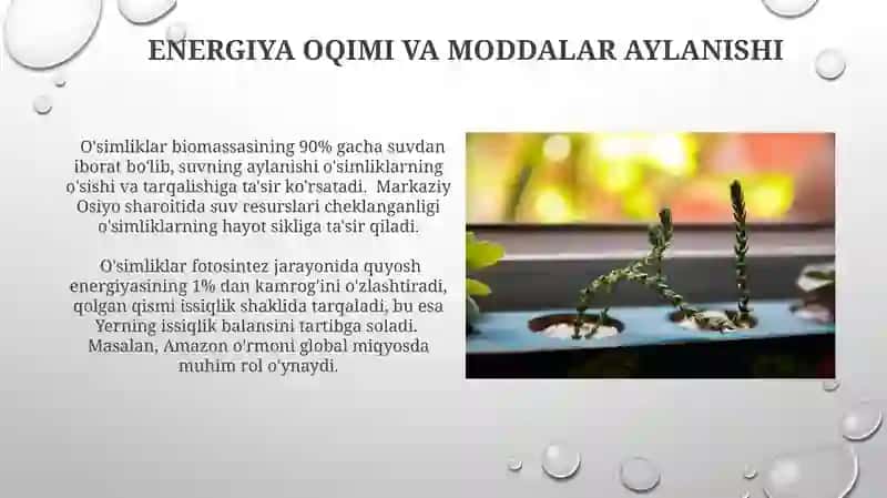 Oʻsimliklar ekologiyasi asoslari 3