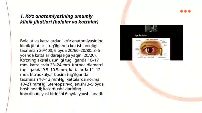 Bolalarda va kattalarda ko’z sohasining klinik anatomiyasi 3