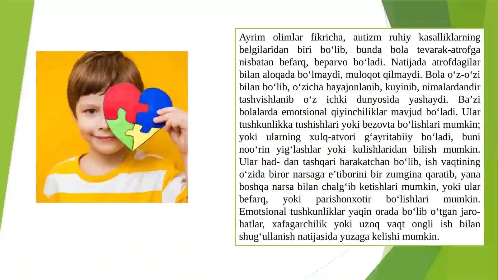 Autistik spektr buzilishlariga ega bolalar uchun inklyuziv ta’lim strategiyalari va ularni amalga oshirish shart-sharoitlari 3