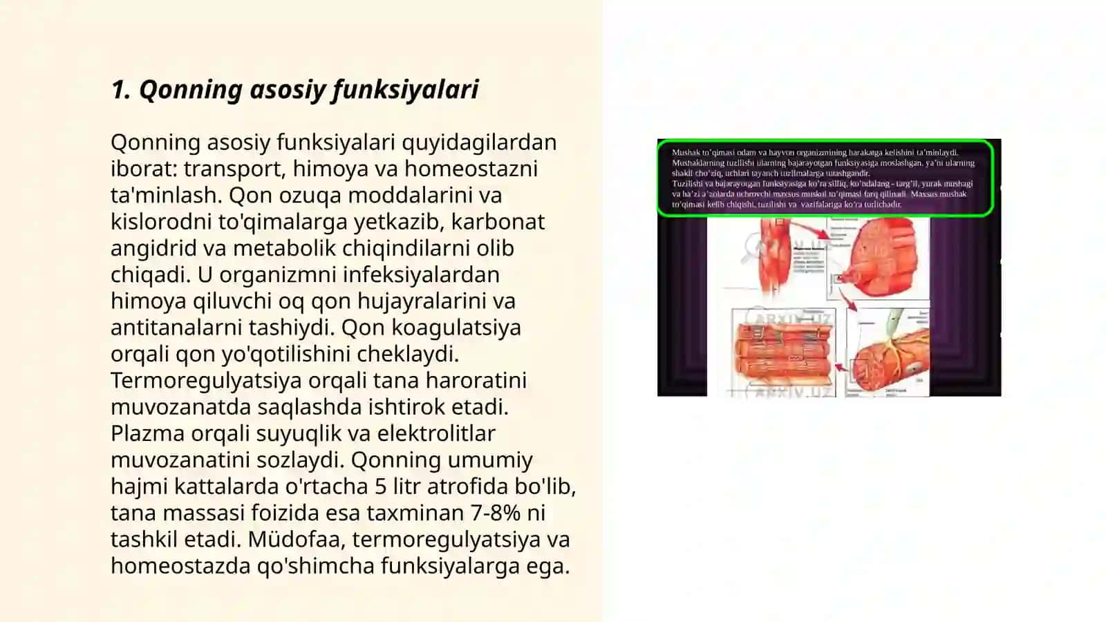 Kamqonlik.Gemostaz.Qon guruhlari.Rezus faktr.Qon quyish asoslari 3