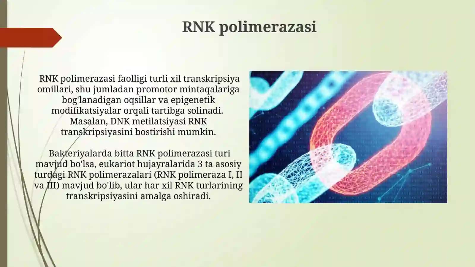 Hujayrada transkripsiya translyatsiya va replikatsiya jarayonlari 3