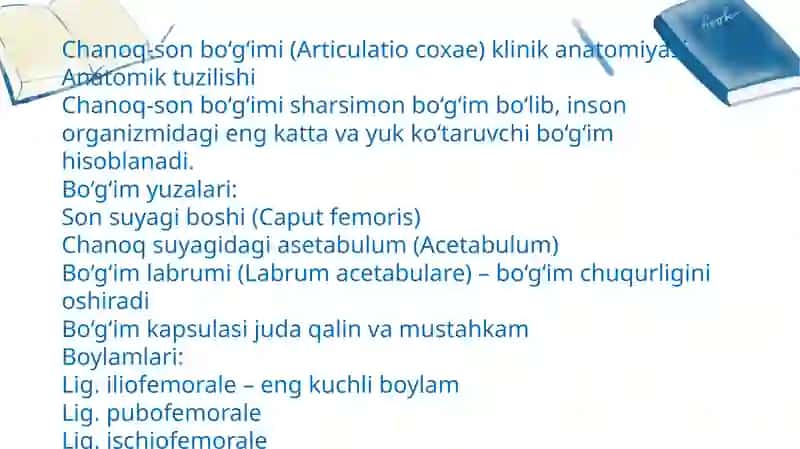 tizza boʻgʻimini funksiya qilish 3
