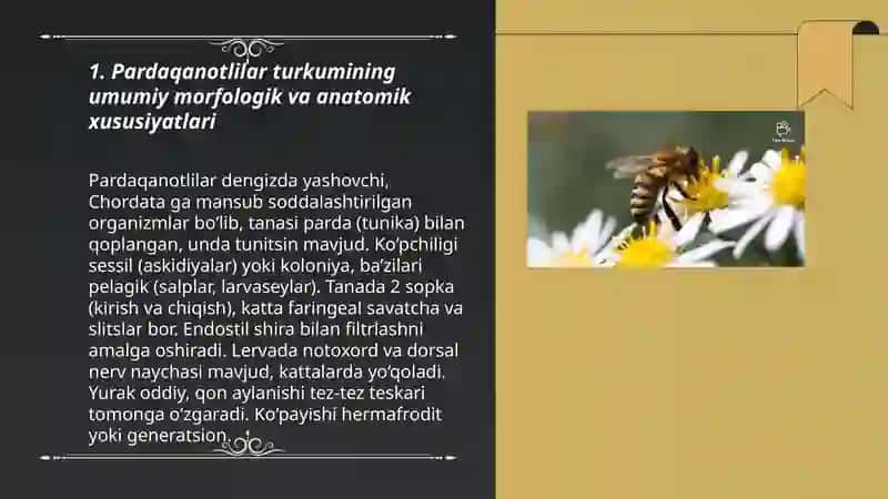 Pardaqanotlilar turkumi vakillari va ahamyati 3