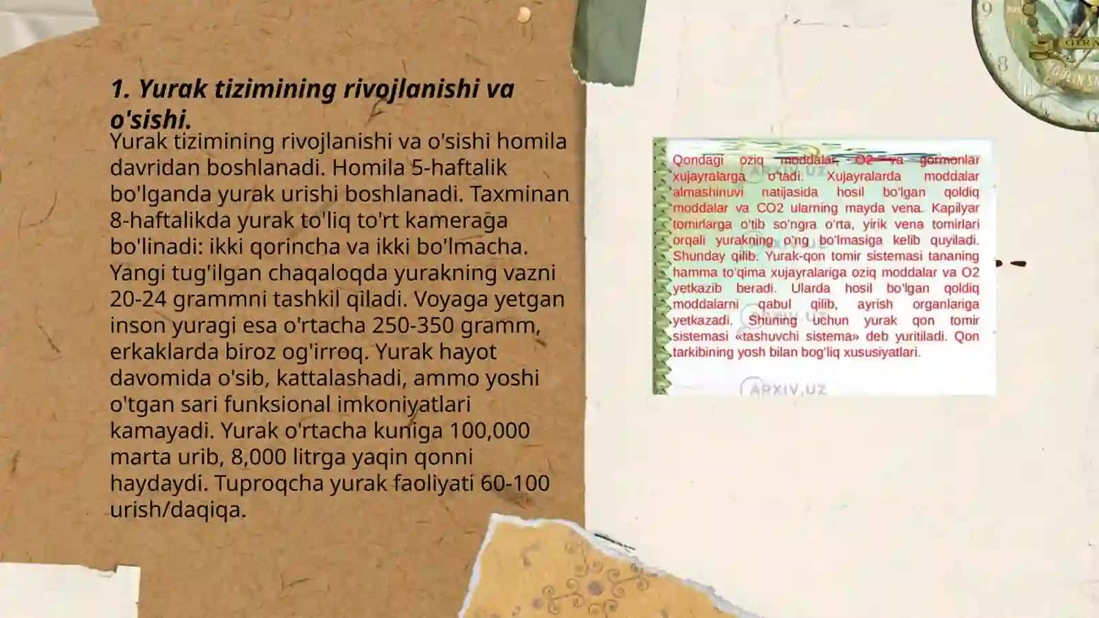 Yurak tizimining yoshga oid fiziologiyasi va gigiyenasi 3