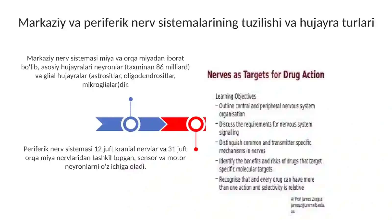 Markaziy va periferik asab tizimi biokimyosi 3