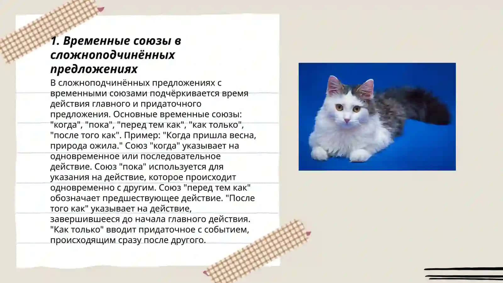 Выражение временных отношения в простом и сложном предложениях 3