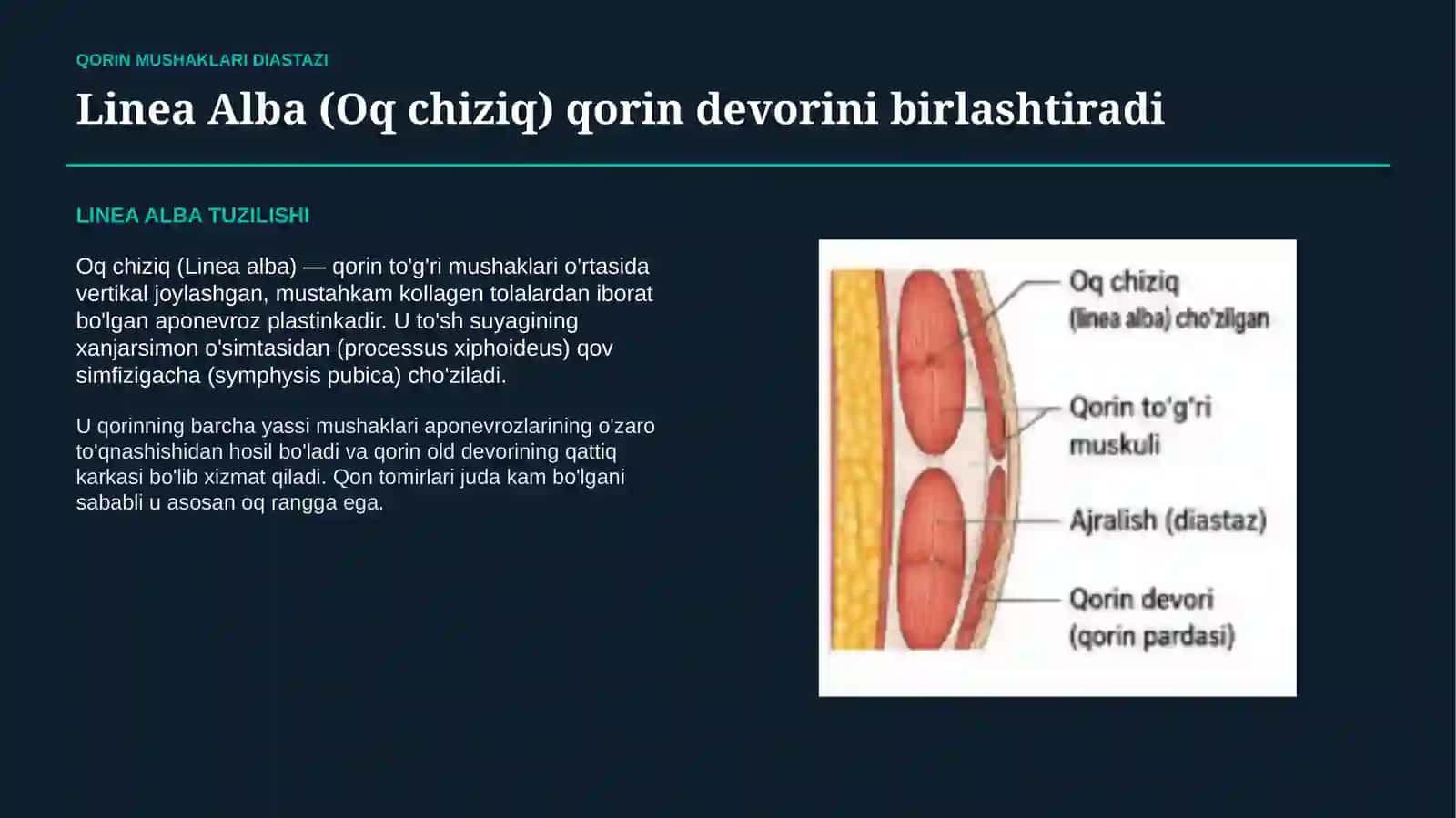 QORIN MUSHAKLARI DIASTAZASI — SABABLARI, BELGILARI, TASHXISI VA PROFILAKTIKASI | 15 SLAYDLI TAQDIMOT 3