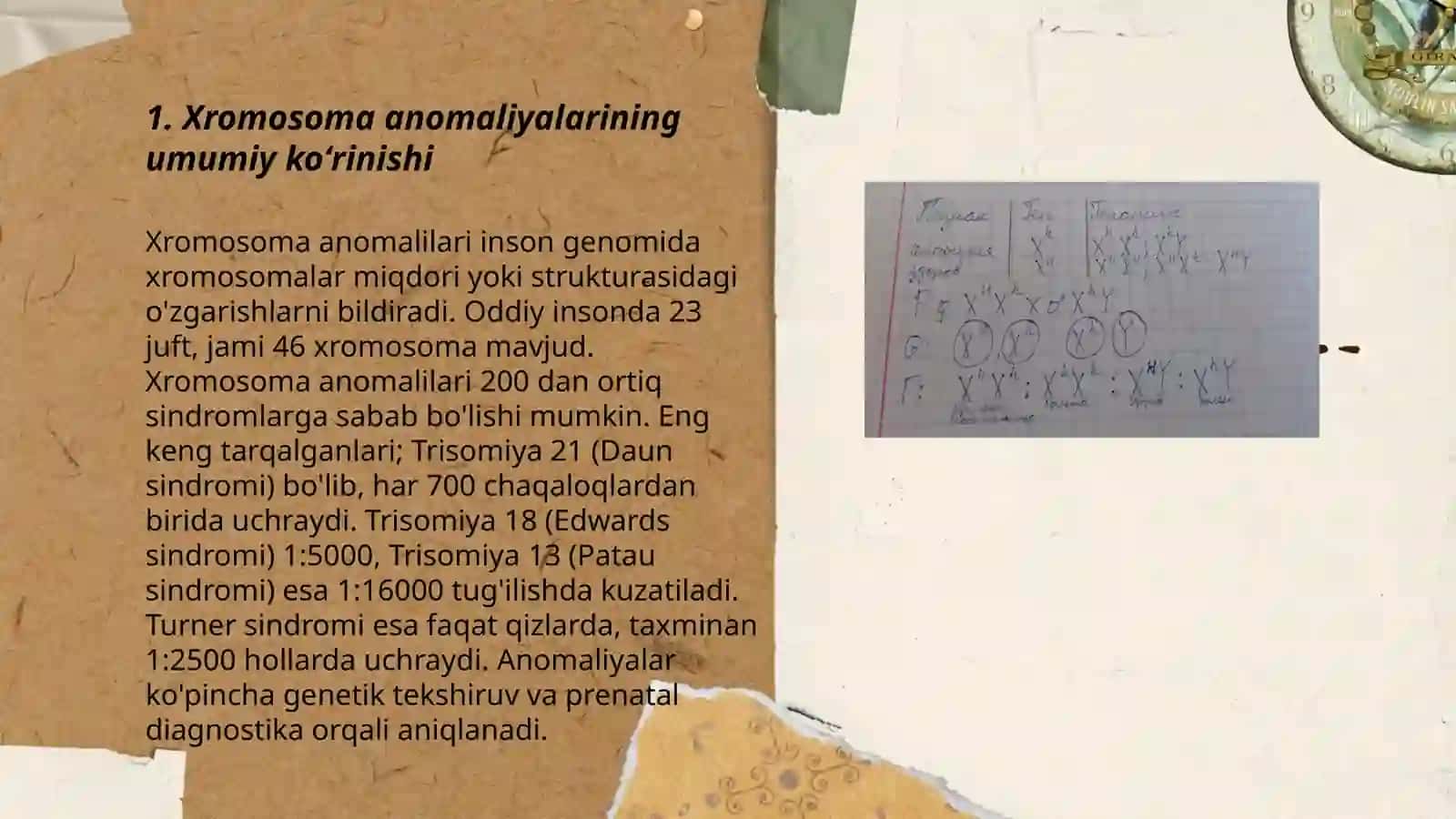 Xromasomalar kasalligi. Xromasomalar Soni va strukturasini õzgarishi 3