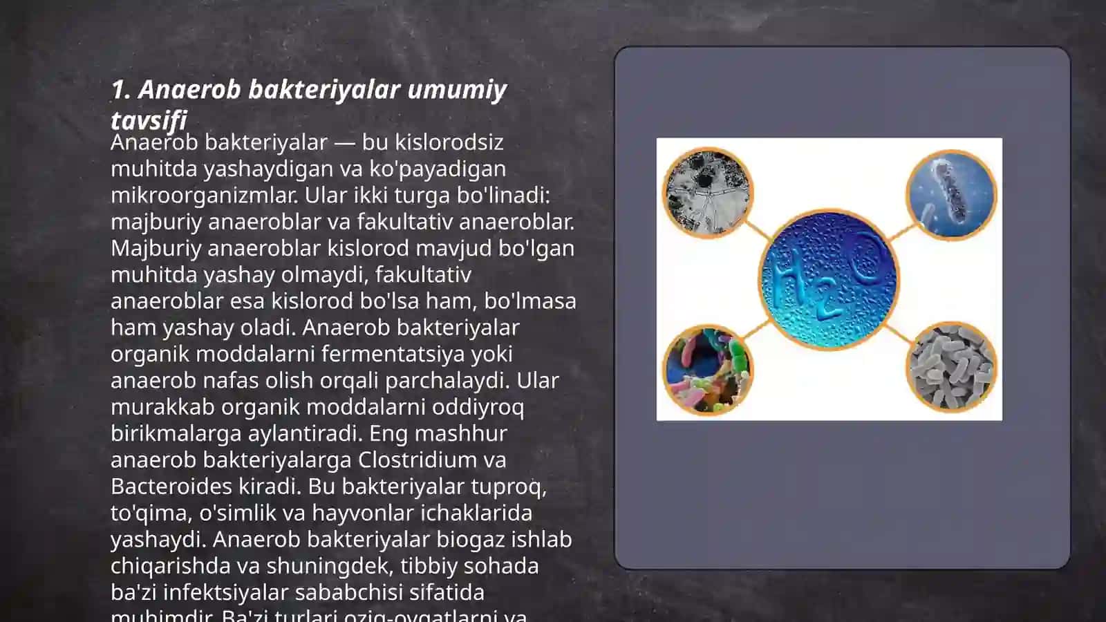 Anaerob bakteriyalarning sof xosilasi 3