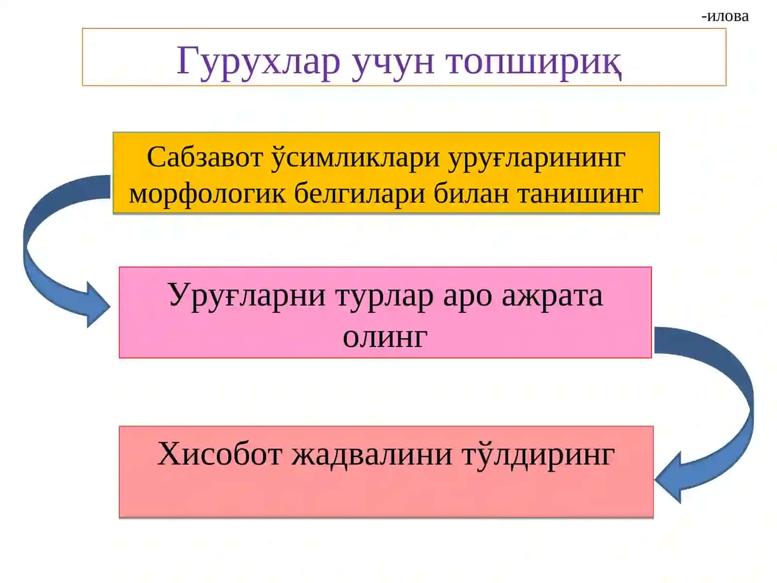 Сабзавот уруғлари билан танишиш ва уруғларни экишга тайёрлаш 3