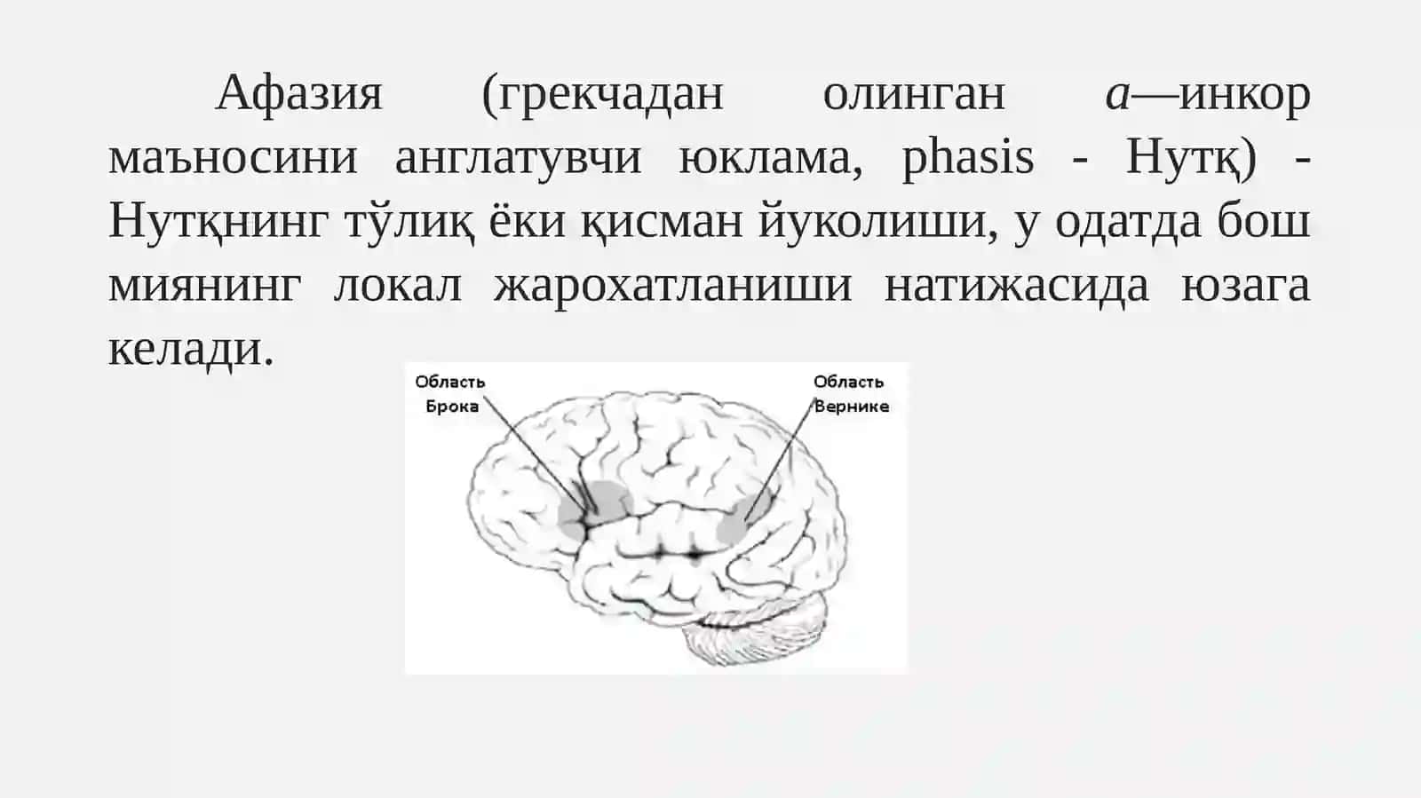Афазия. Афазия кўринишидаги нутқ камчилигига эга бўлган болалар билан олиб бориладиган логопедик ишлар 3