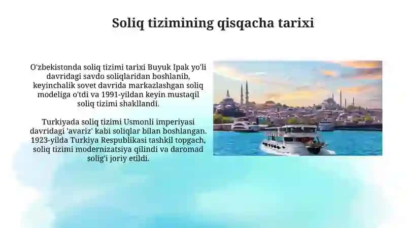 Jismoniy shaxslar daromad soligʻi Oʻzbekiston va Turkiya tajribasi 3