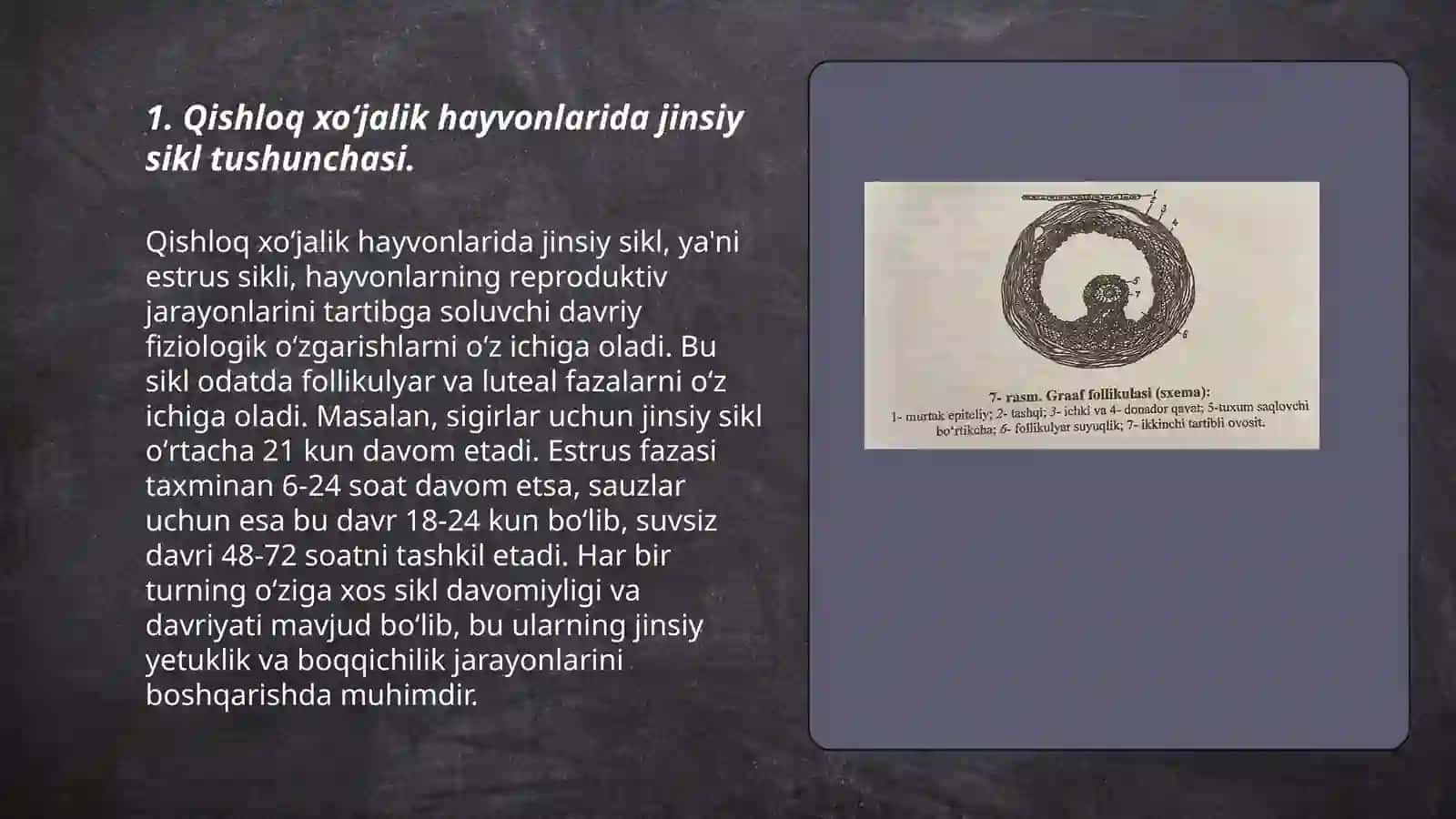 Qishloq xoʻjalik hayvonlarida jinsiy sikl tushunchasi 3