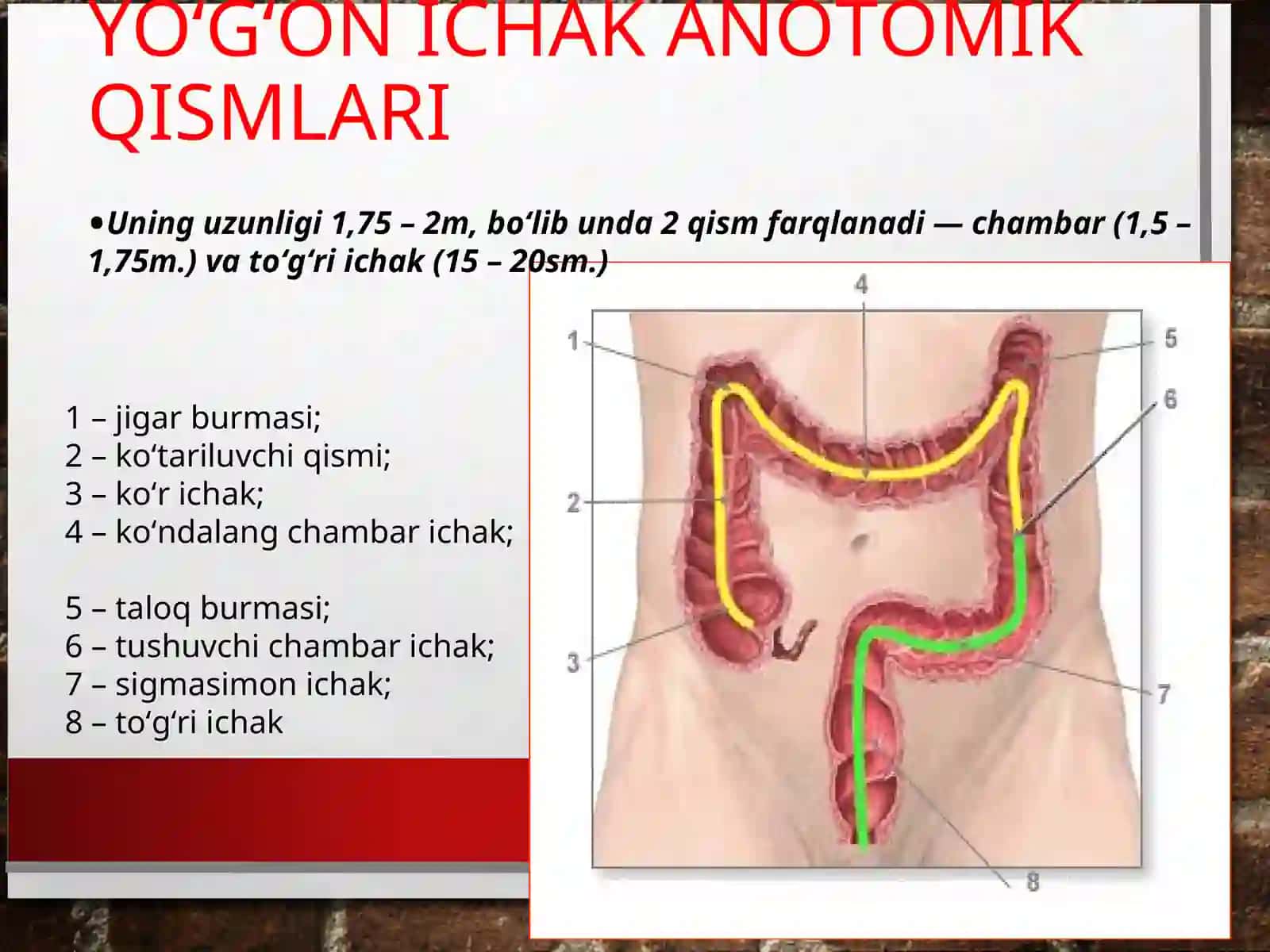 YO‘G‘ON ICHAK  VA TO‘G‘RI ICHAK XIRURGIK KASALLIKLARI 3