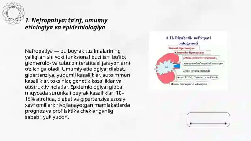 Nefropatiyalarning etiologiyasi tasnifi klinikasi patogenezi diagnostikasi davolash 3