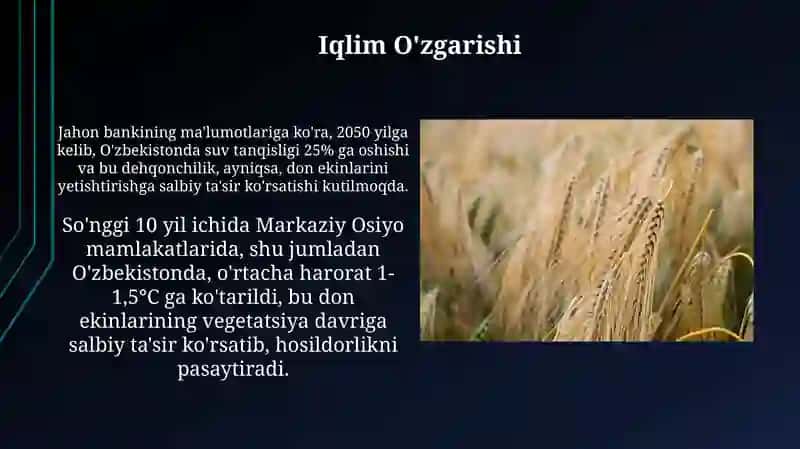 Gʻalla ekinlarining ahamiyati 3