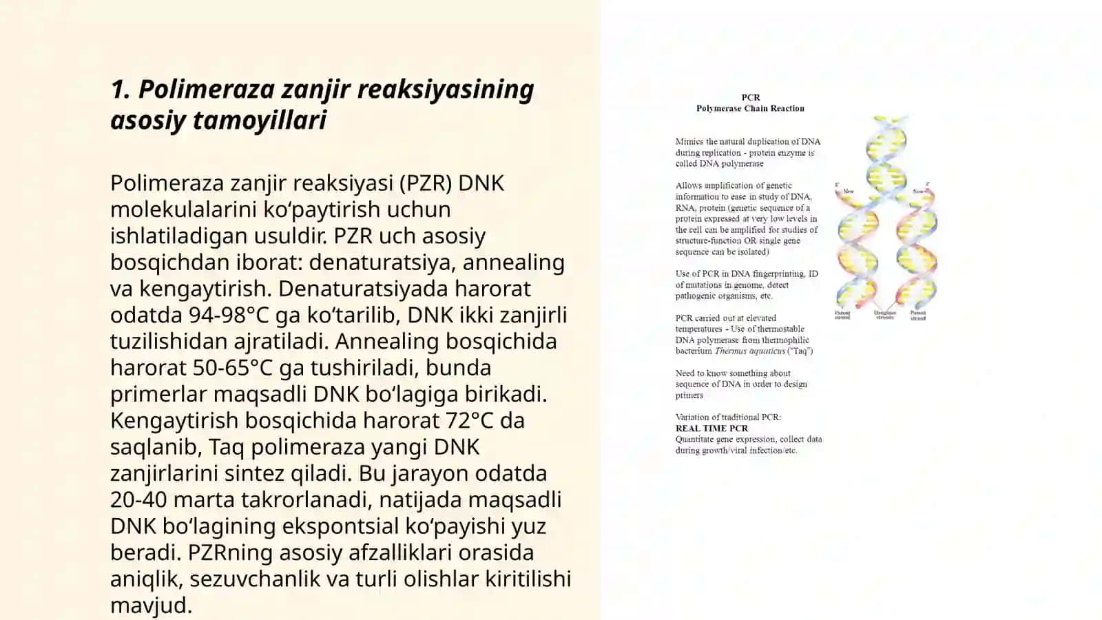 Polimeraza zanjir reaksiyasi 3