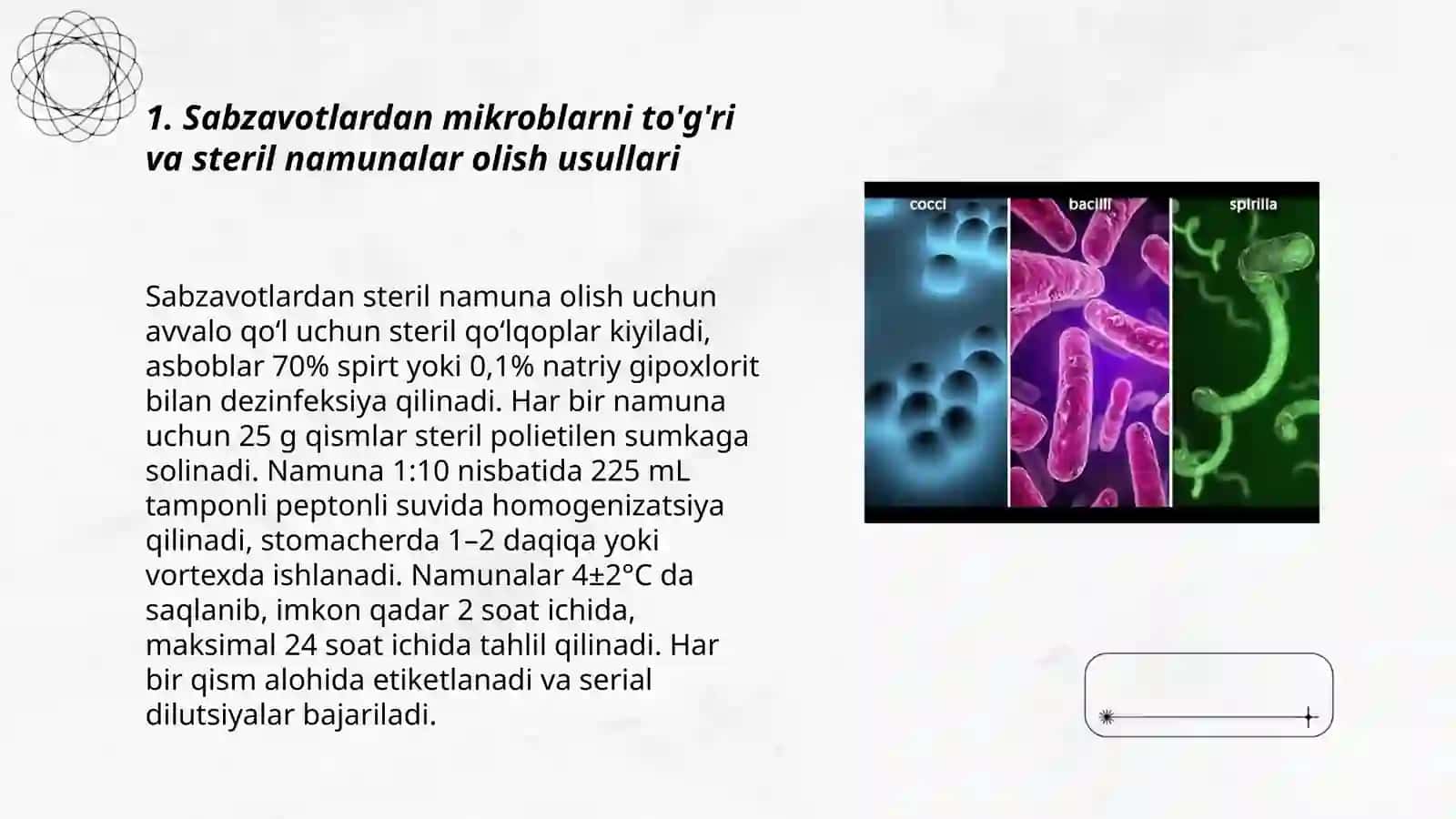 Sterillikni tekshirish:sabzavot,suv,qo’l va havo namunalarida mikroblarni aniqlash 3