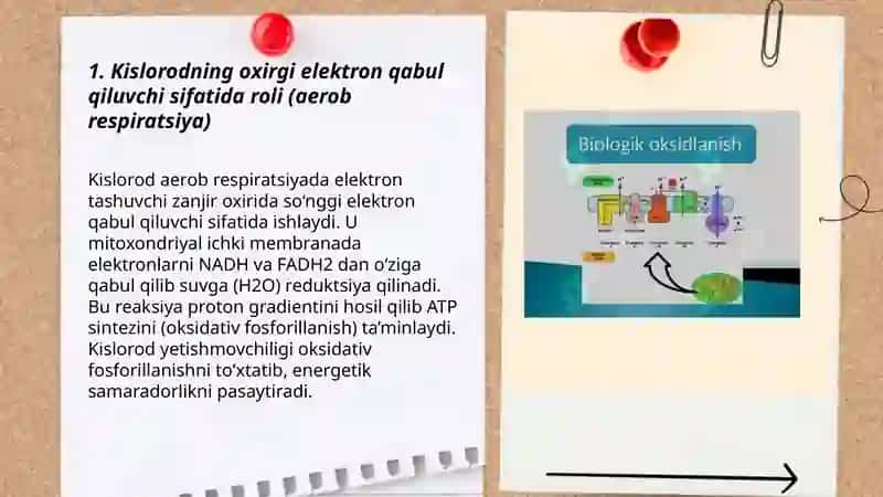 Biologik oksidlanish reaktsiyalarida kislorodning iste mol qilinish yo'llari 3