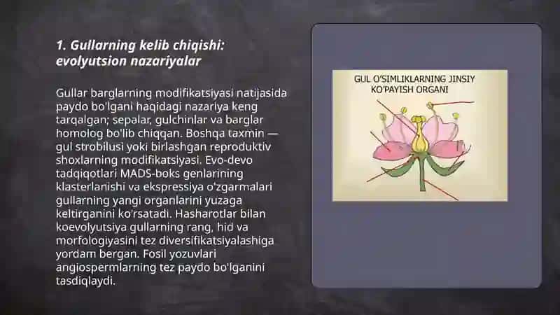 Gullarning kelib chiqishi va tuzilishi 3