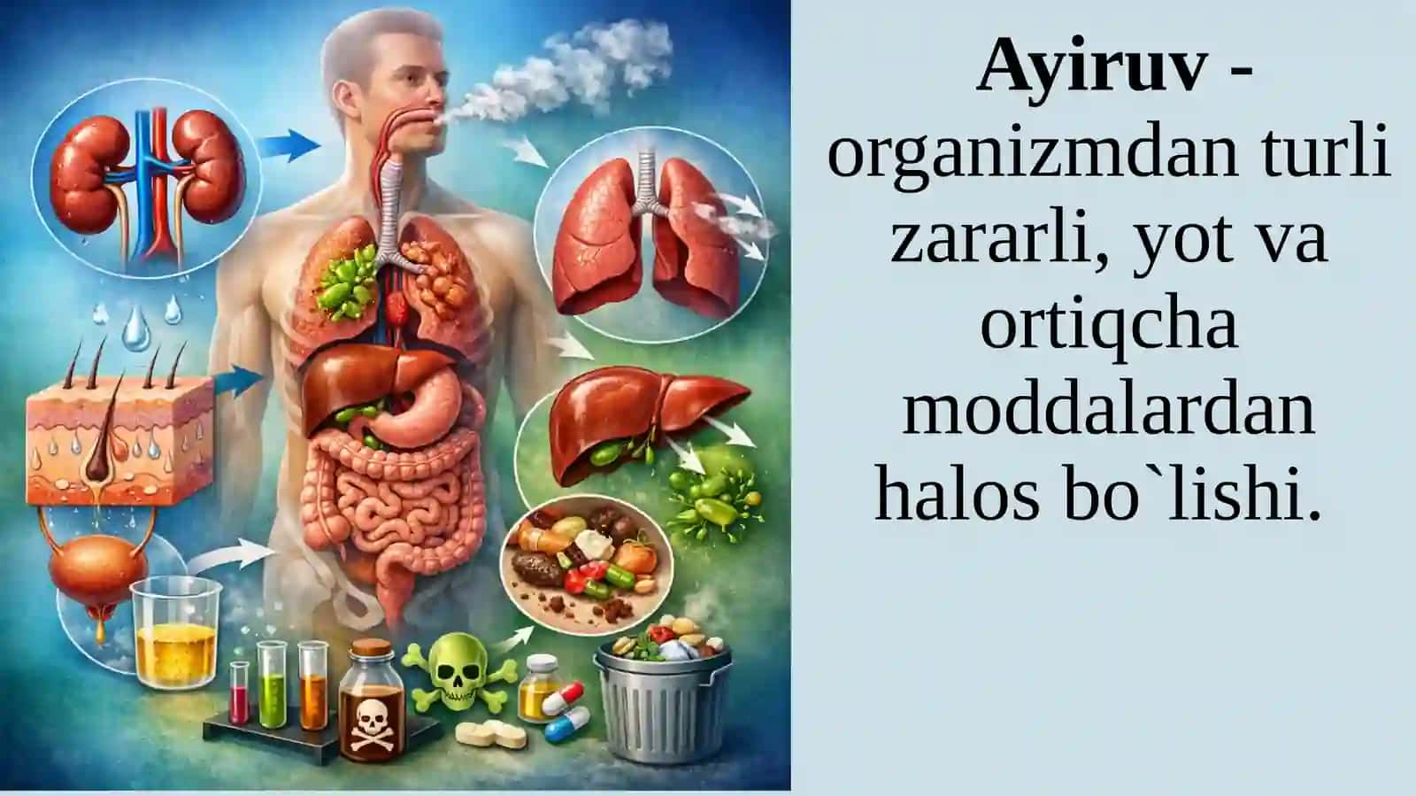 NORMAL VA PATOLOGIK FIZIOLOGIYA KAFEDRASI 3