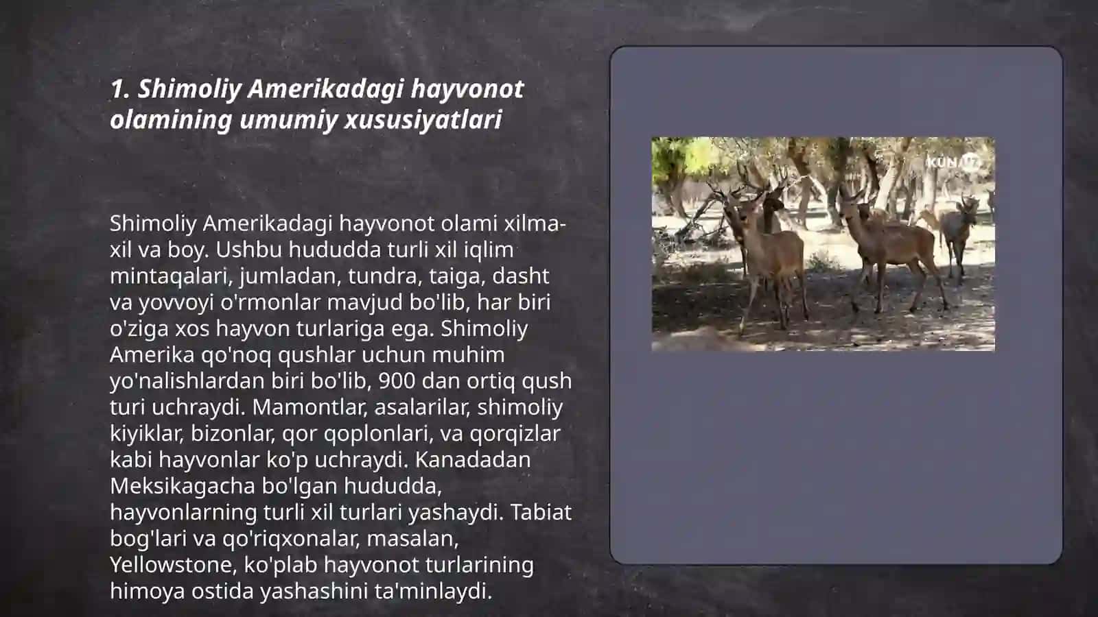 Shimoliy Amerikadagi hayvonot olamining tarqalish qonuniyatlari 3