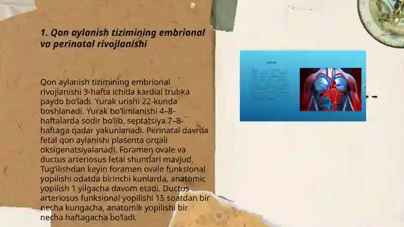 Qon aylanish tizimining yosh fiziologiyasi va gigiyenasi 3