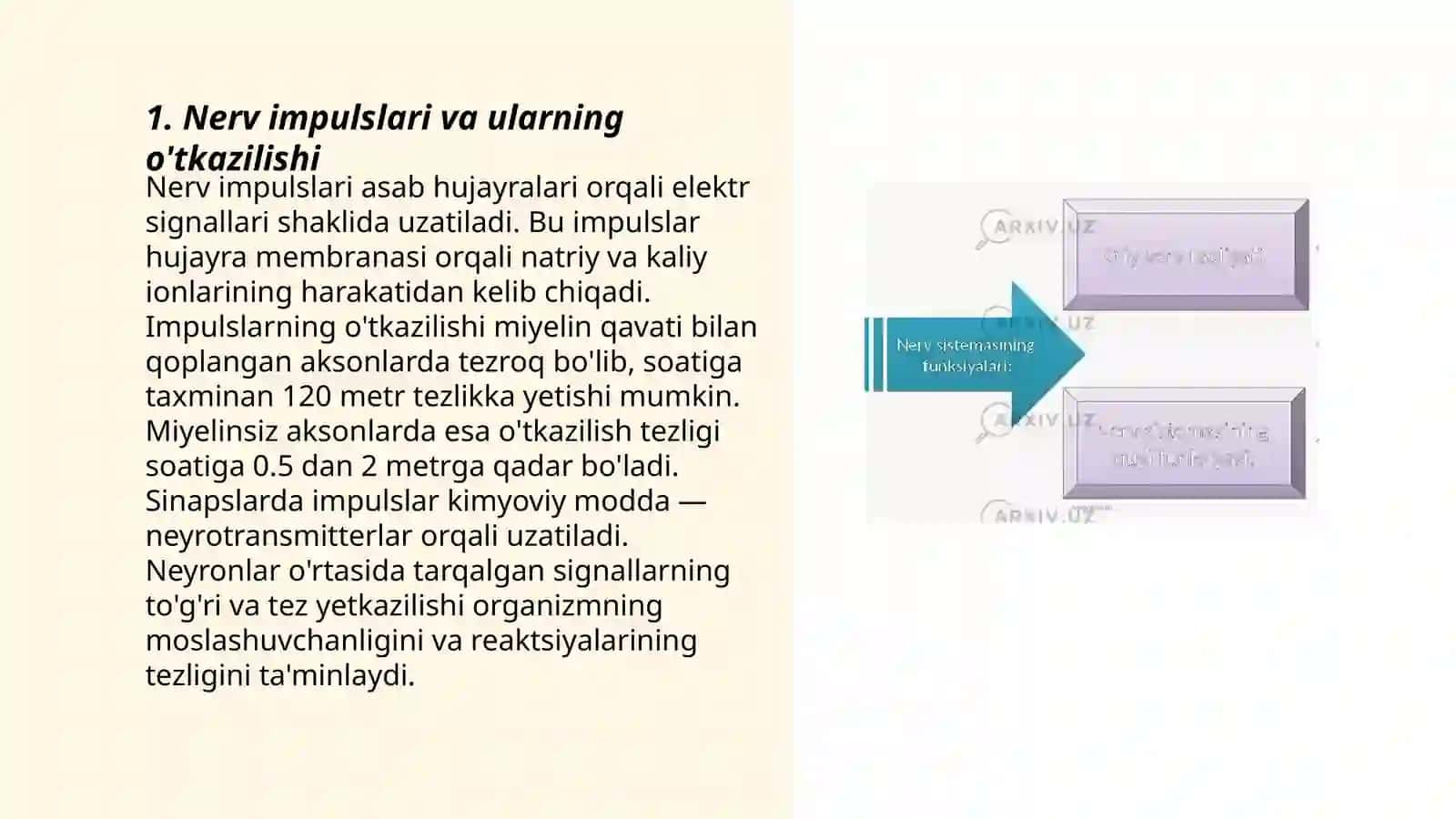Nerv markazlarini fiziologik xususiyatlari 3