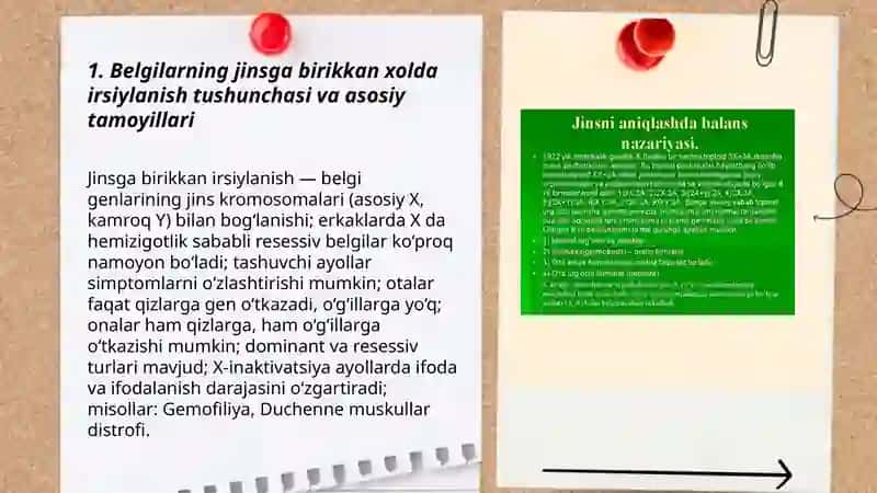 Belgilarning jinsga birikkan xolda irsiylanishi 3