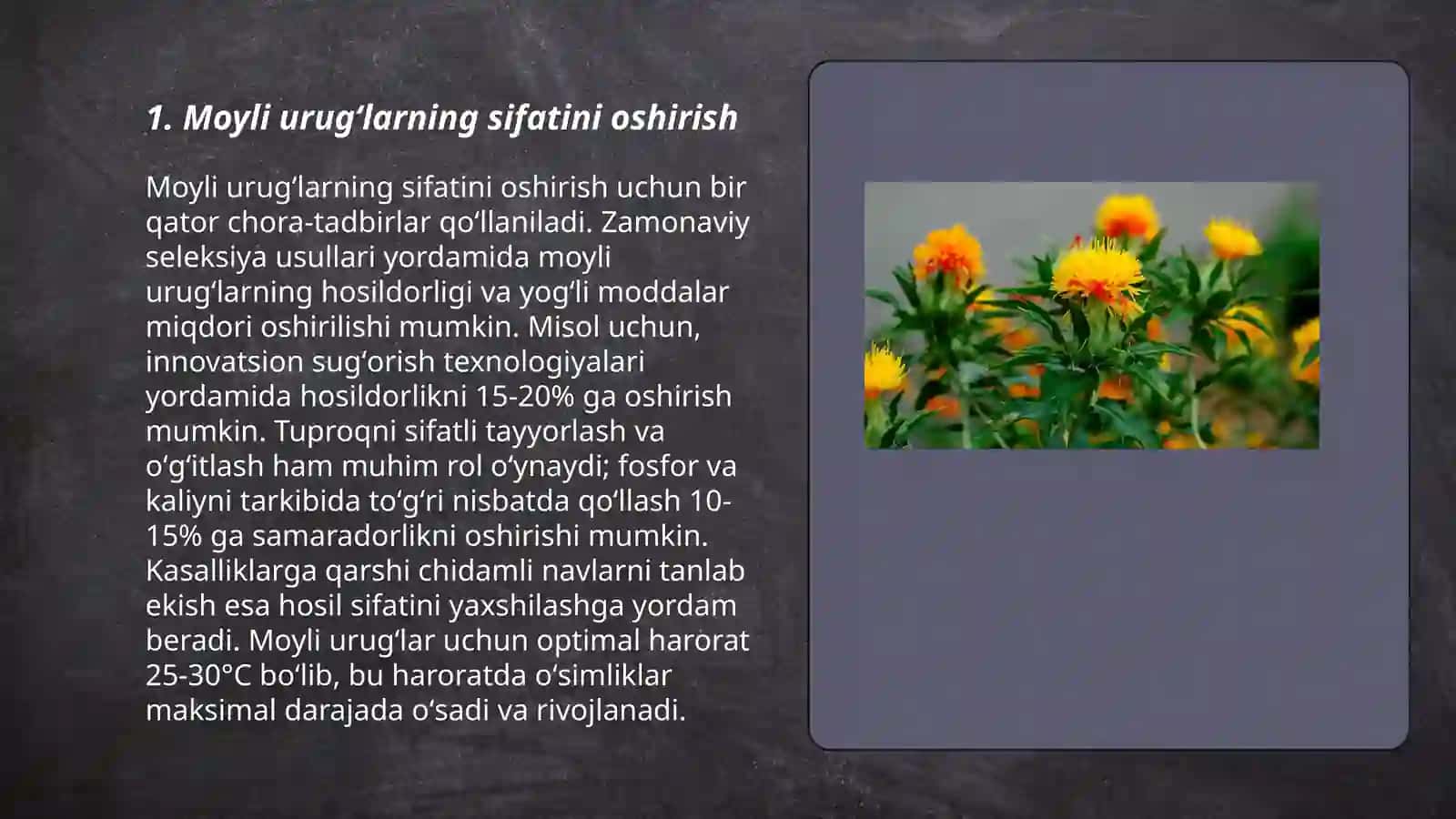 Moyli urugʻlarni aralashmalardan tozalashning zaruriyati 3