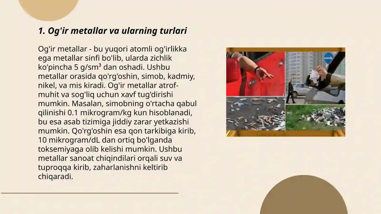 Tamaki ekilgan tuproqlarning og’ir metallar bilan ifloslanishi 3