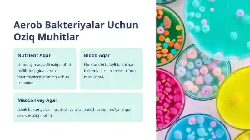 Mikrobiologiya: Aerob va Anaerob Bakteriyalarni Ajratib Olishda Qo'llaniladigan Oziq Muhitlar 3