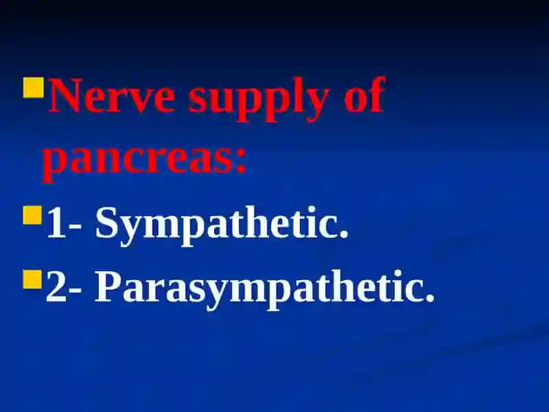 The Pancreas 3
