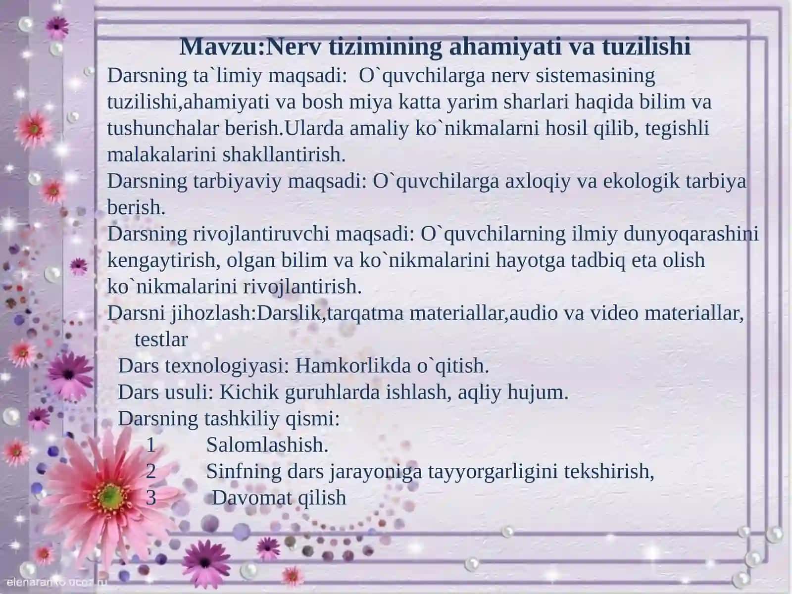 Nervtizimining ahamiyati va tuzilishi 3