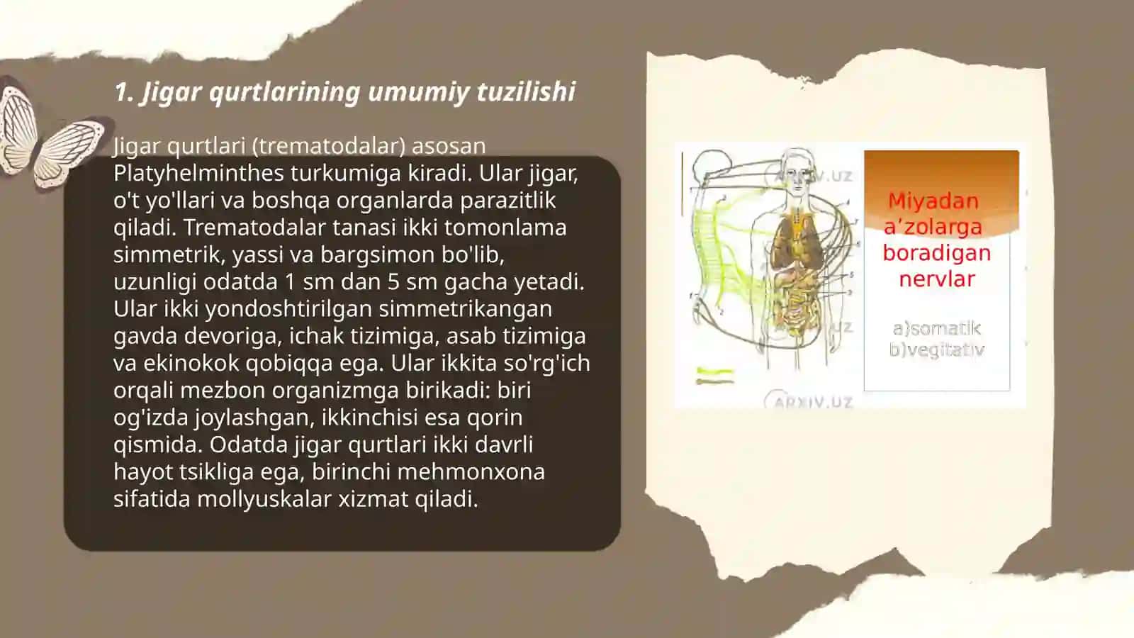Jigar qurtlarining tuzilishi va hayot siklining xususiyatlari 3