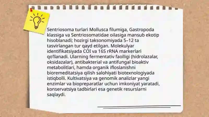 Sentriosoma (Biotexnologik ahamiyatlari) 3