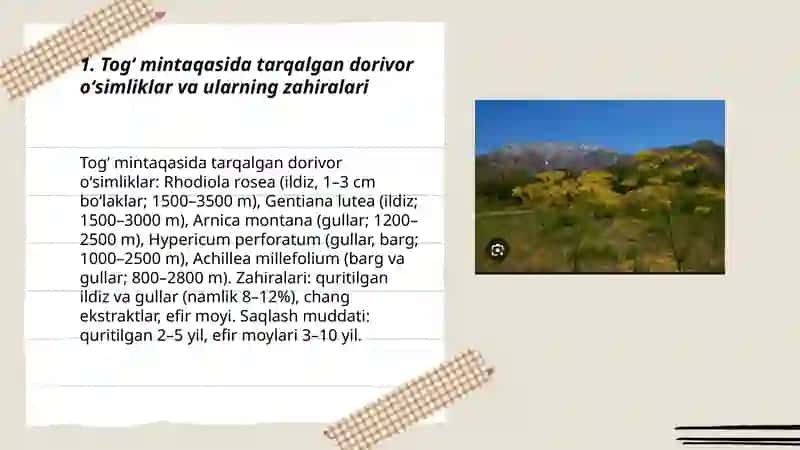 Togʻ mintaqasida tarqalgan foydali oʻsimliklar va ularning zahiralari 3