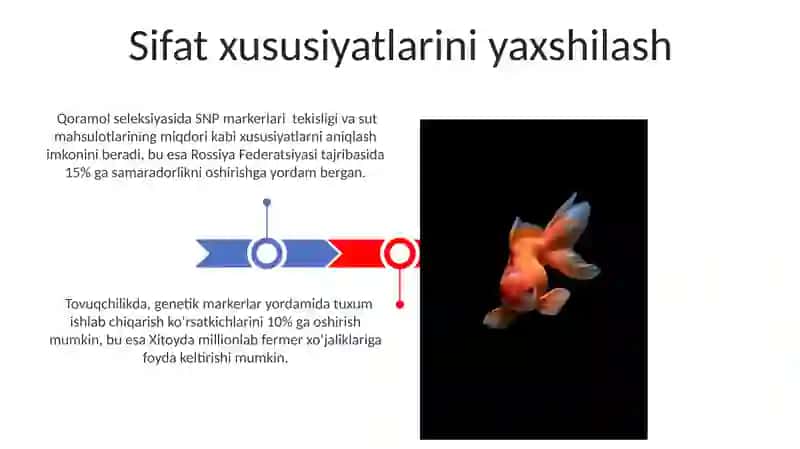 Genetik markerlar yordamida o'simlik va hayvonlar seleksiyasini takomillashtirish 3