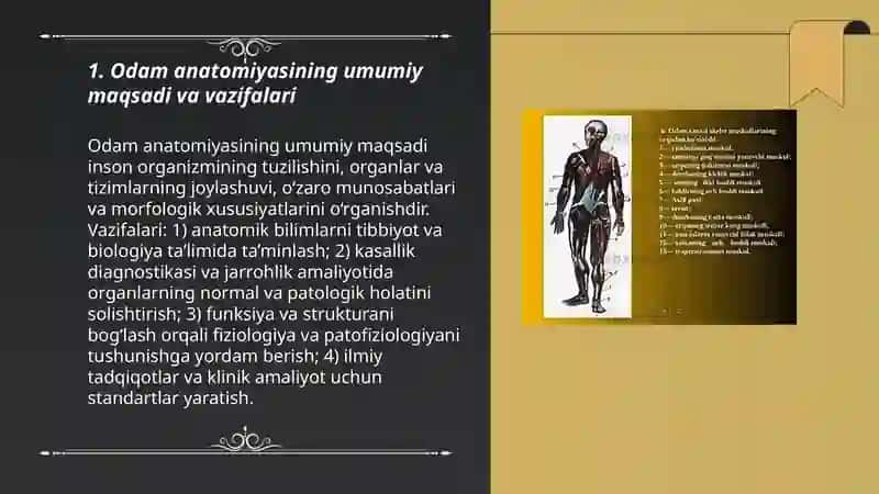 Odam anatomiyasi maqsadi va vazifalari 3