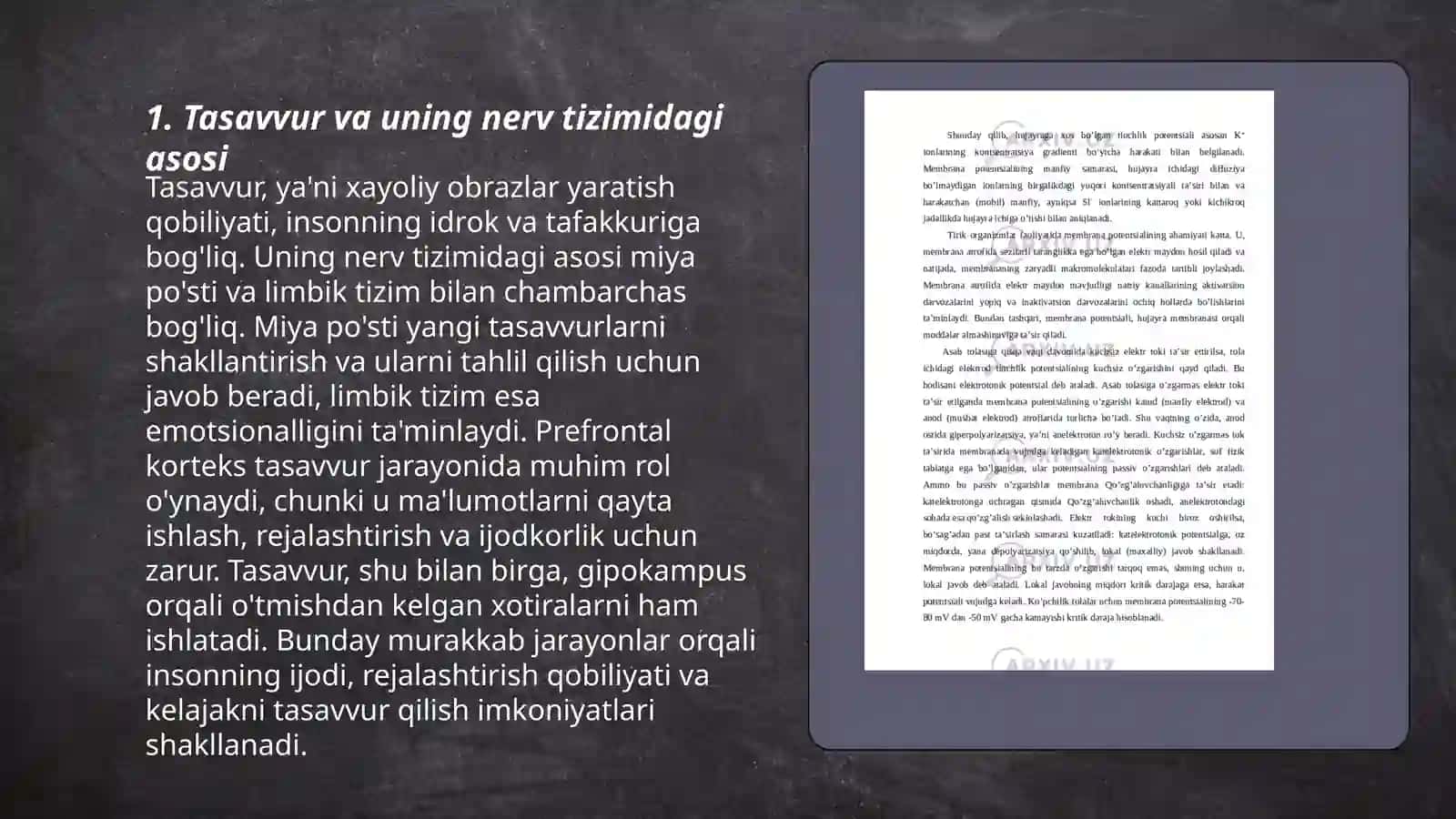Tasavvurning paydo bo‘lishi fiziologiyasi 3