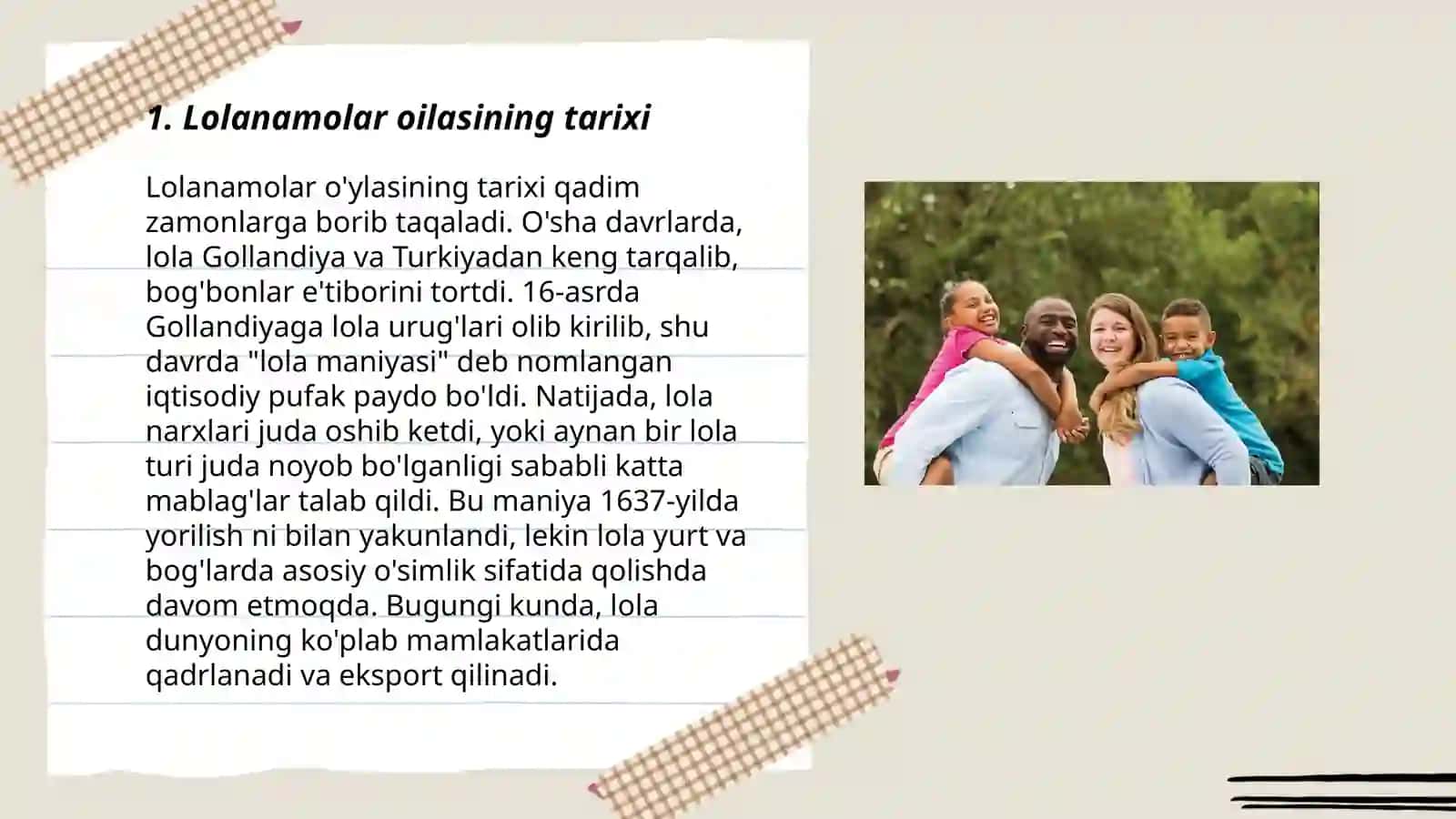 Lolanamolar oilasi 3